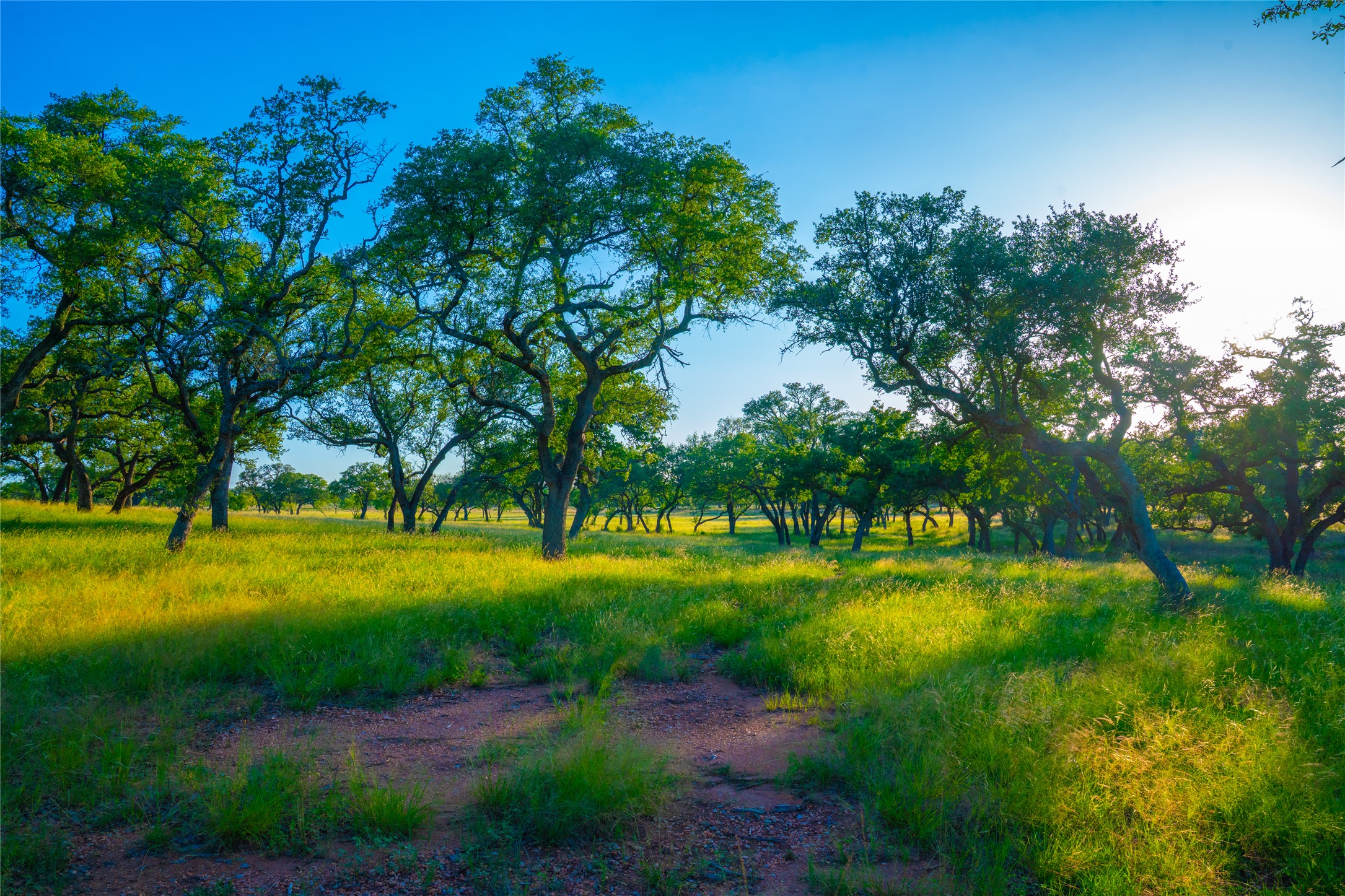 0 Rolling Oaks Ranch Johnson City, TX 78636 - Photo 18 of 30 a view of an ocean from a yard