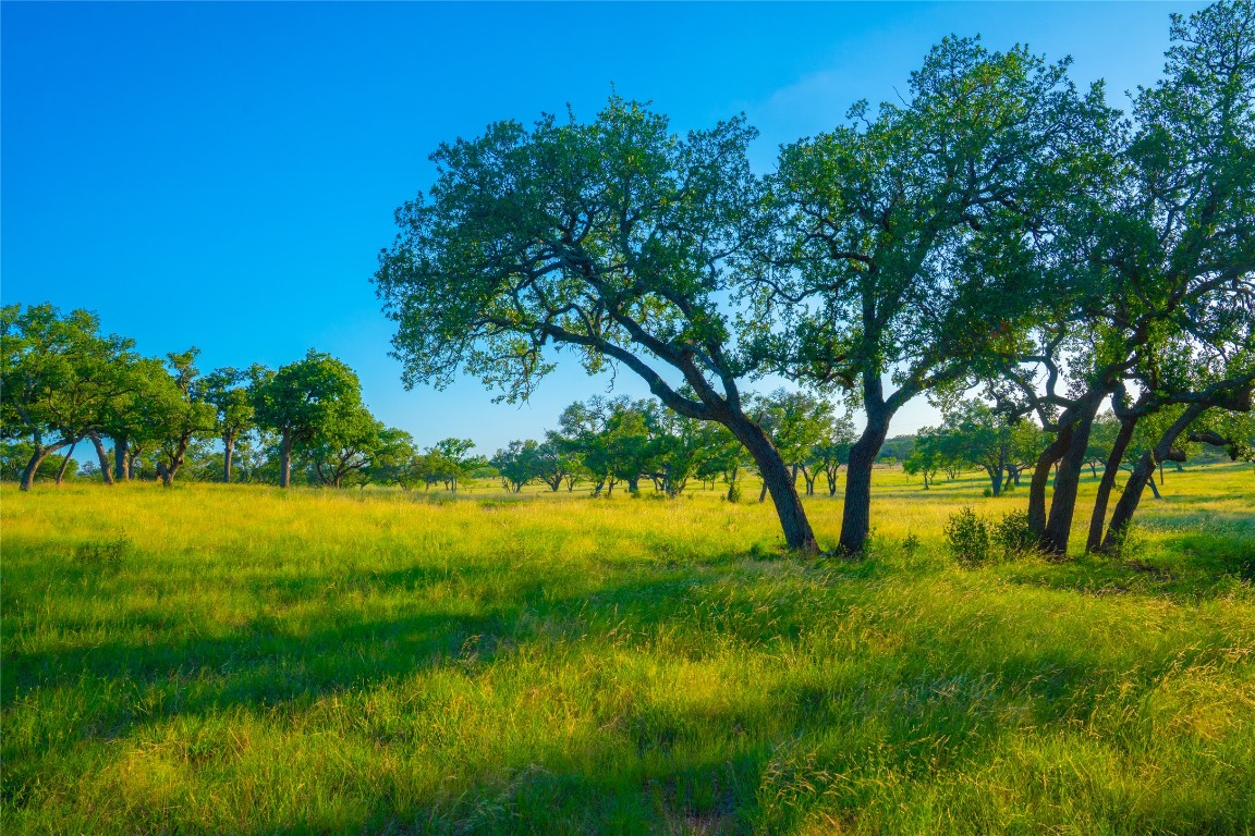 0 Rolling Oaks Ranch Johnson City, TX 78636 - Photo 20 of 30 a view of an outdoor space and a yard