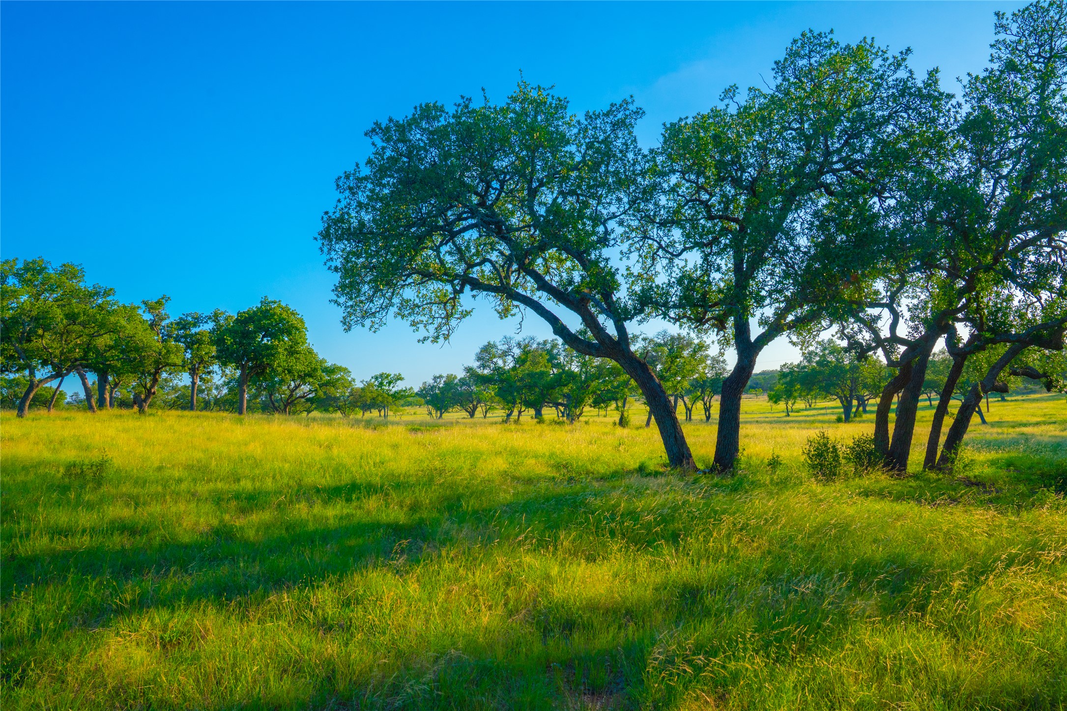 0 Rolling Oaks Ranch Johnson City, TX 78636 - Photo 20 of 30 a view of an outdoor space and a yard