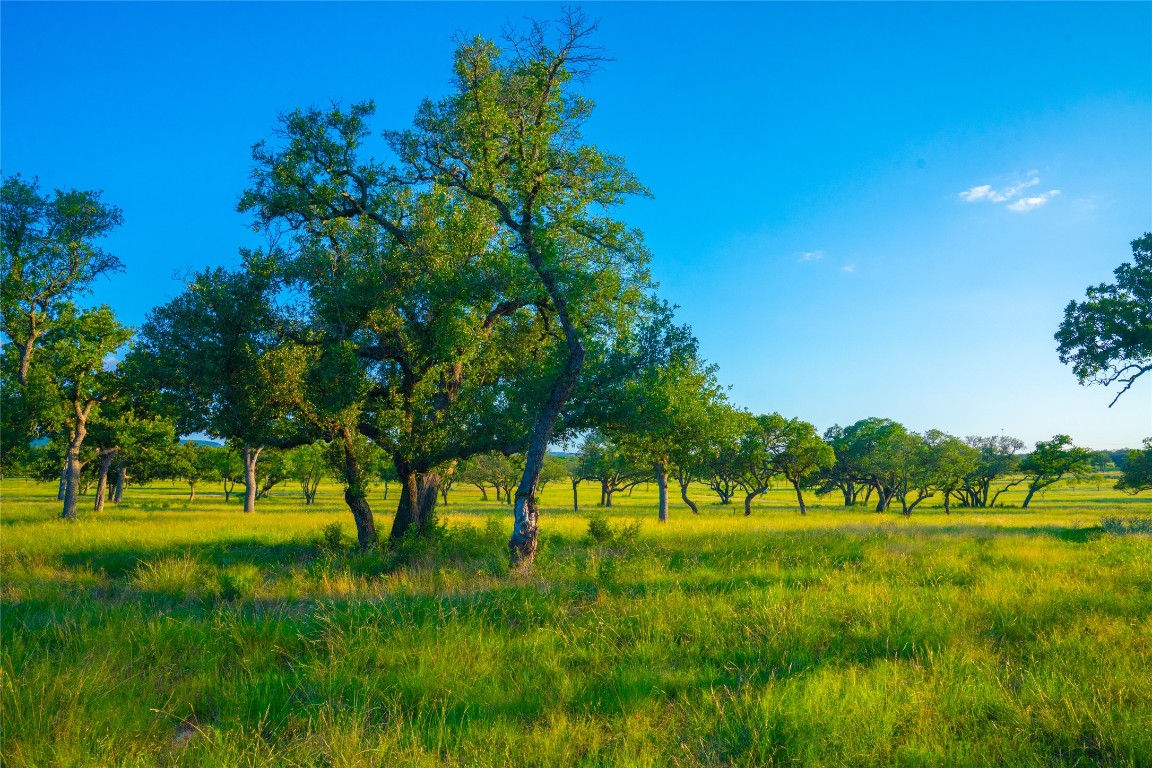 0 Rolling Oaks Ranch Johnson City, TX 78636 - Photo 2 of 30 a view of yard with green space