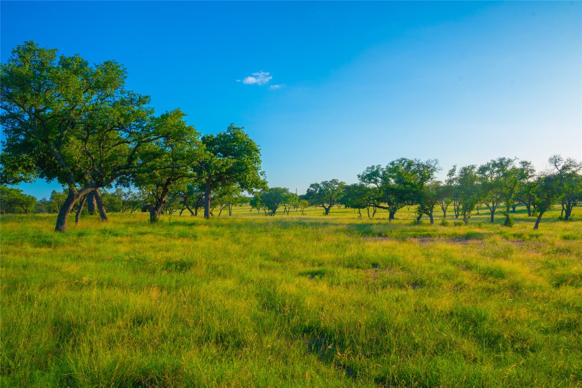 0 Rolling Oaks Ranch Johnson City, TX 78636 - Photo 21 of 30 a view of field with trees in the background
