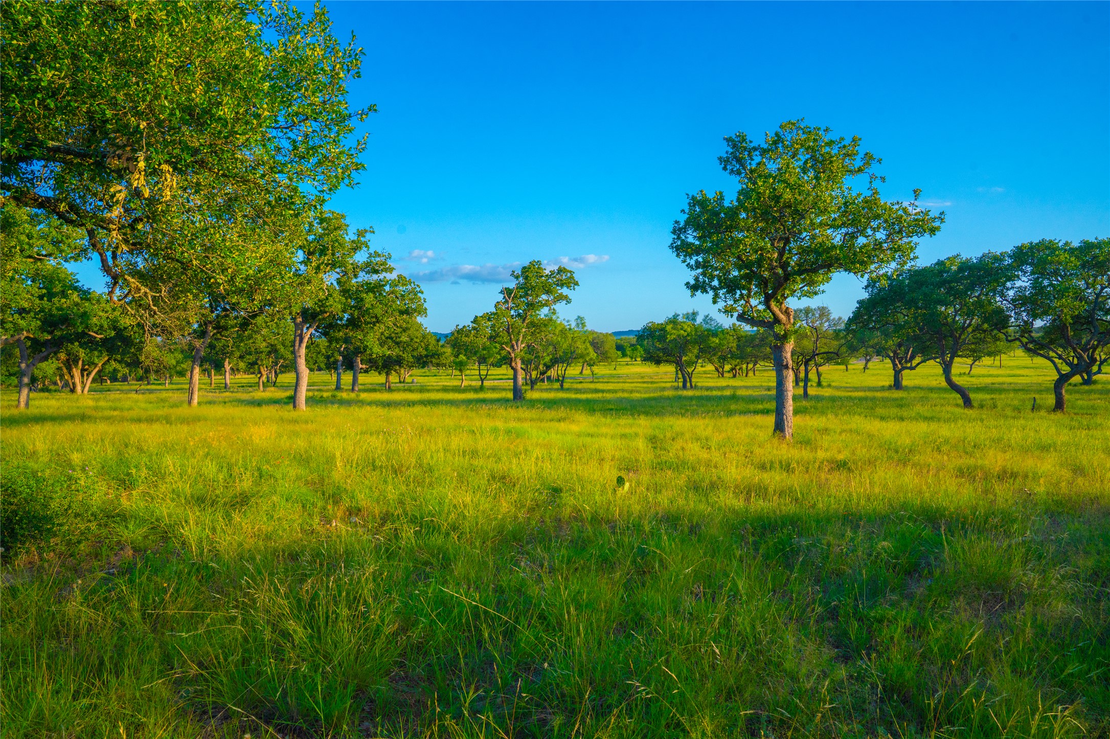 0 Rolling Oaks Ranch Johnson City, TX 78636 - Photo 23 of 30 a view of tennis court