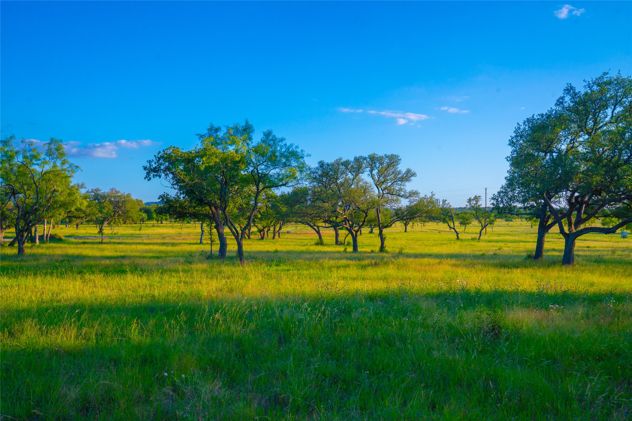 0 Rolling Oaks Ranch Johnson City, TX 78636 - Photo 25 of 30 a view of a golf course with a lake