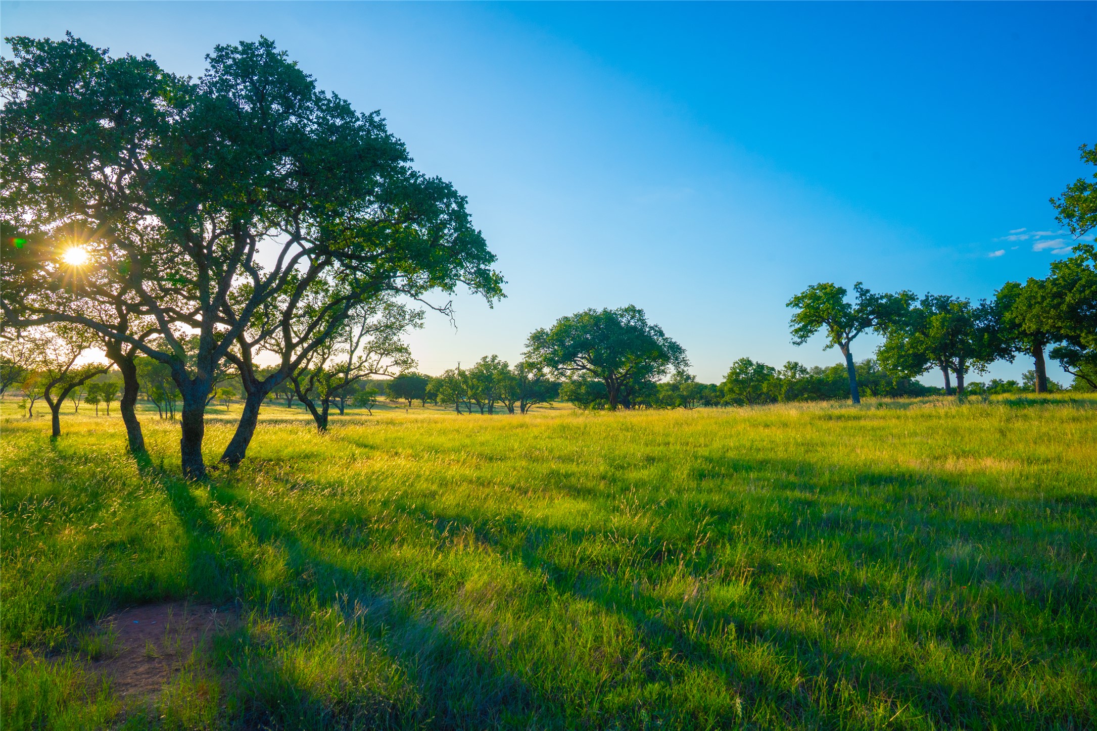 0 Rolling Oaks Ranch Johnson City, TX 78636 - Photo 26 of 30 a view of yard with swimming pool and green space