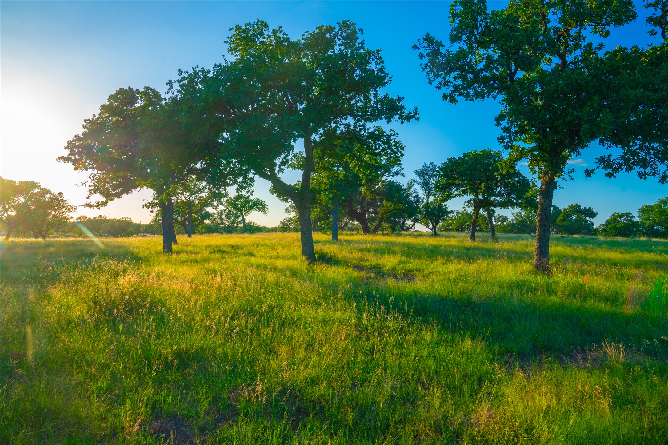 0 Rolling Oaks Ranch Johnson City, TX 78636 - Photo 27 of 30 a view of yard with green space