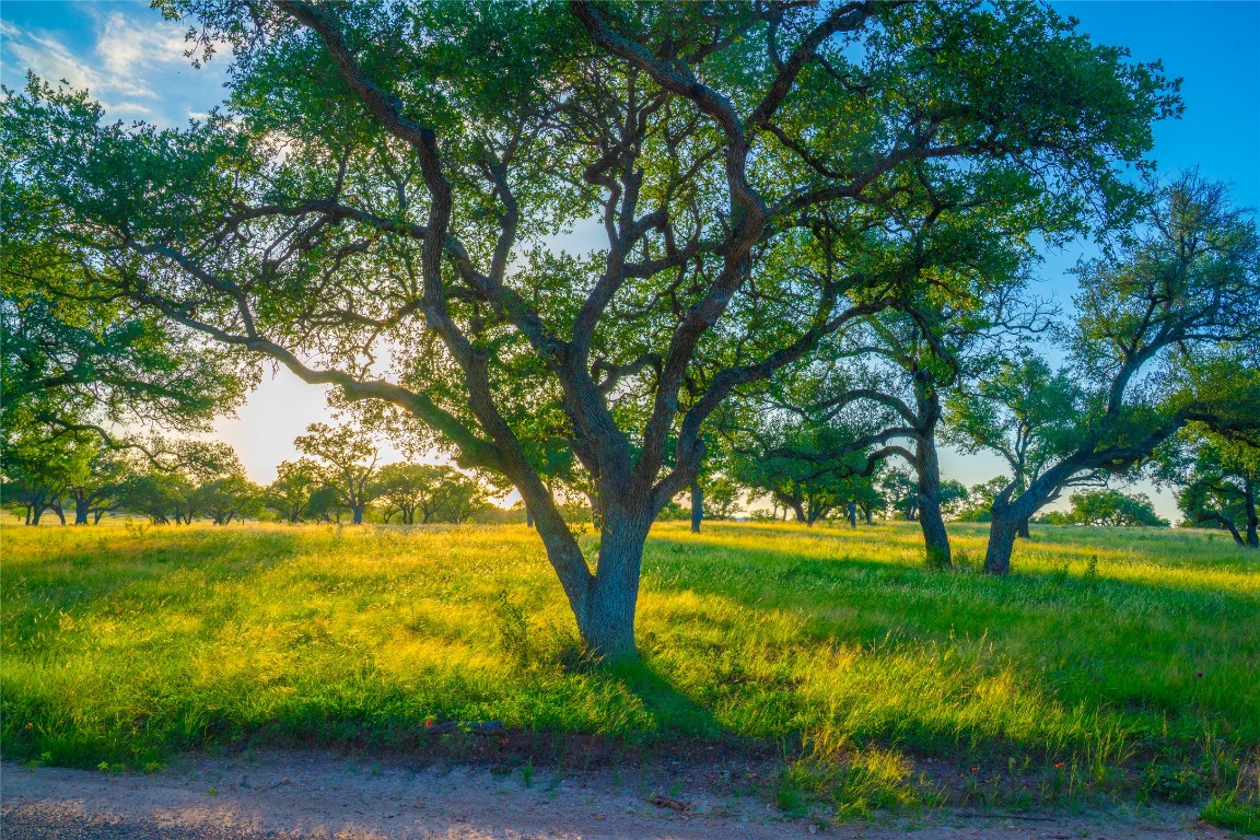 0 Rolling Oaks Ranch Johnson City, TX 78636 - Photo 28 of 30 a view of yard with green space