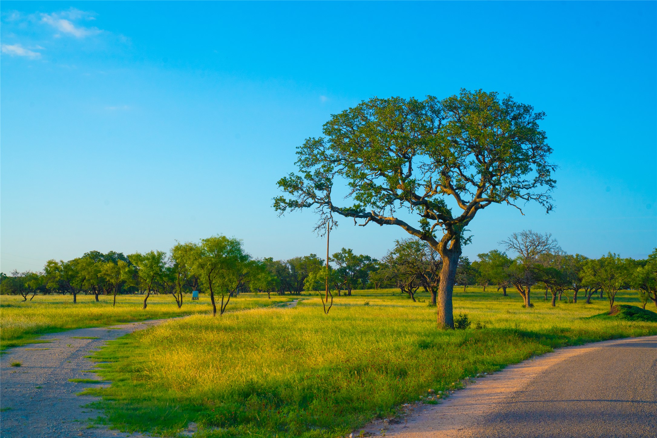 0 Rolling Oaks Ranch Johnson City, TX 78636 - Photo 29 of 30 a view of a golf course with a lake view
