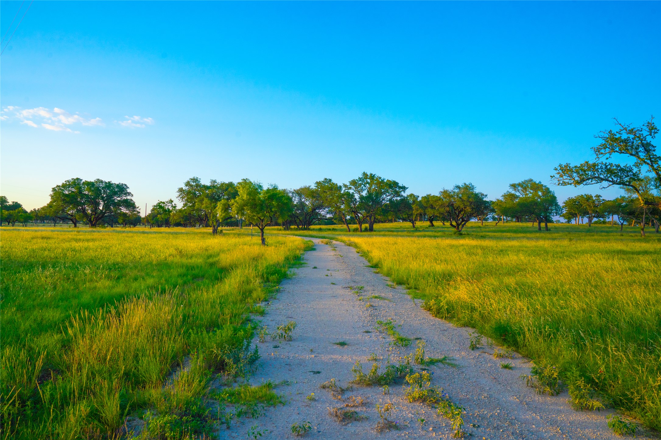0 Rolling Oaks Ranch Johnson City, TX 78636 - Photo 30 of 30 a view of a lake with a big yard