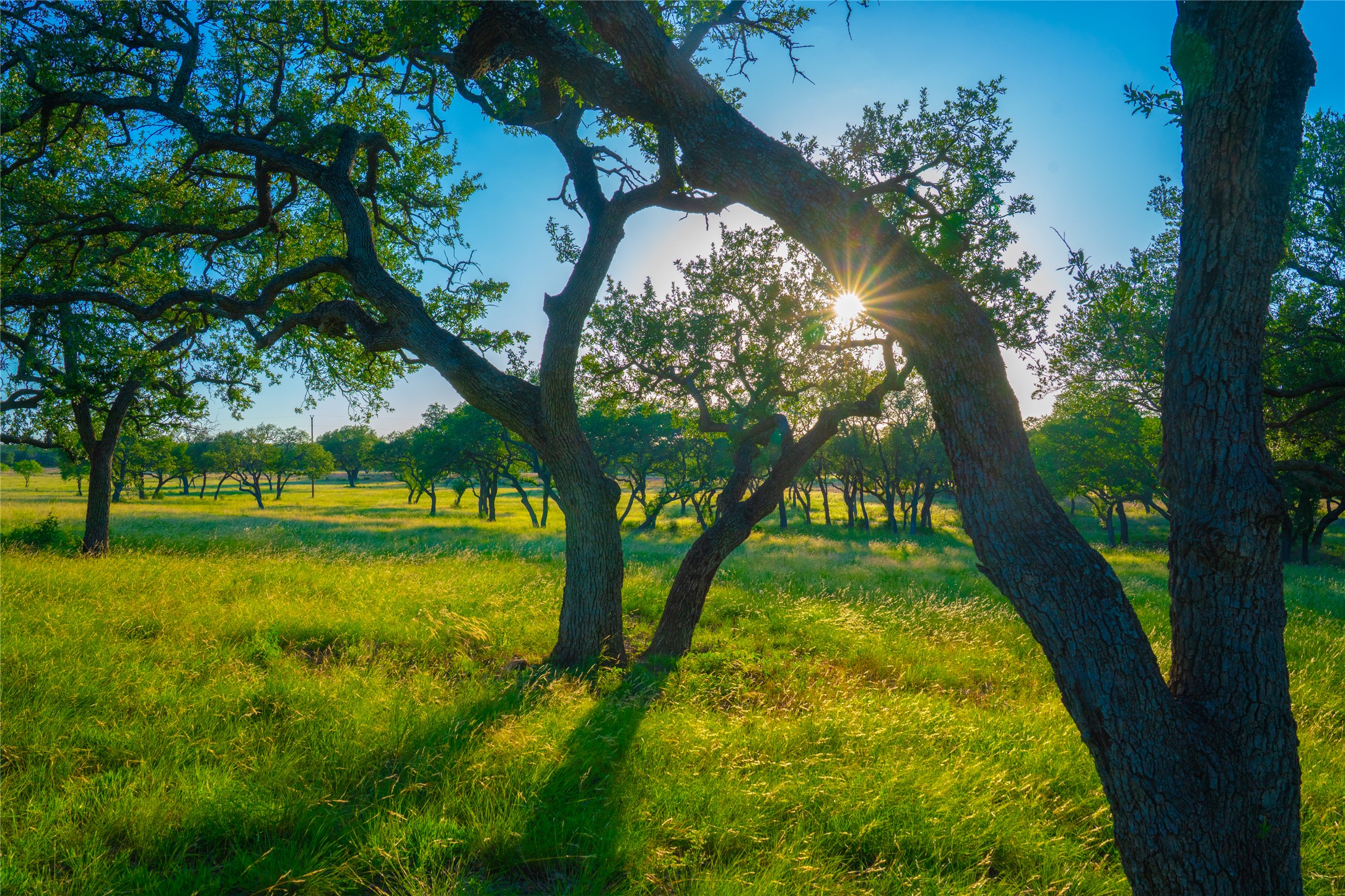 0 Rolling Oaks Ranch Johnson City, TX 78636 - Photo 3 of 30 a view of an outdoor space