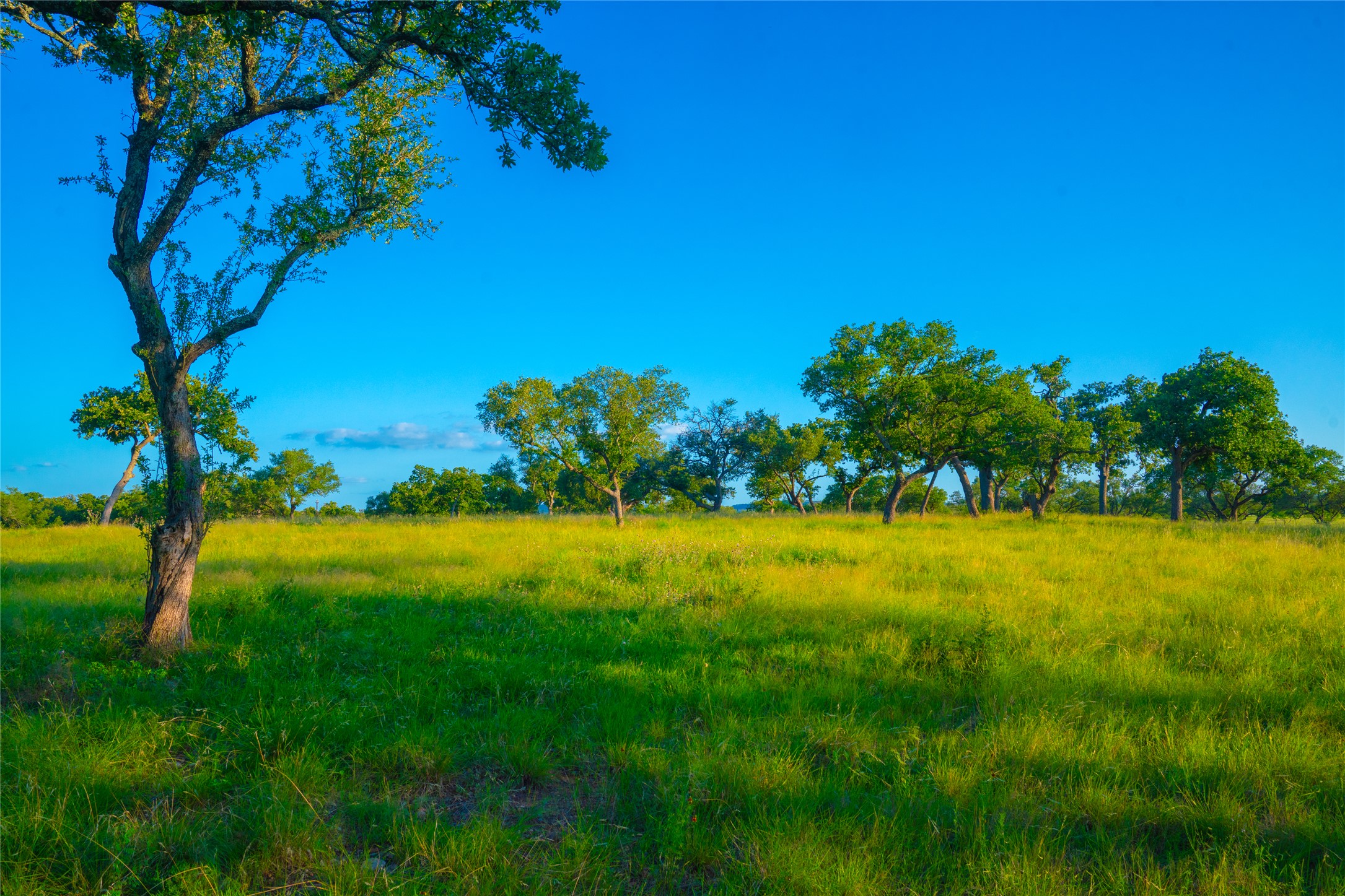 0 Rolling Oaks Ranch Johnson City, TX 78636 - Photo 7 of 30 a view of an outdoor space and yard