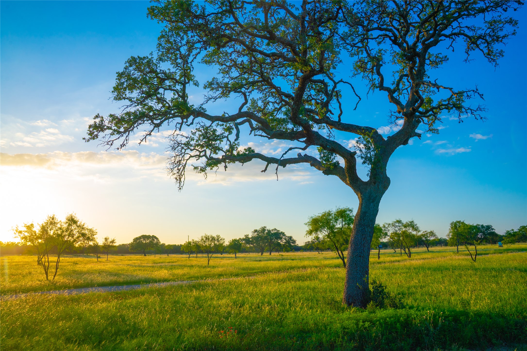 0 Rolling Oaks Ranch Johnson City, TX 78636 - Photo 8 of 30 a view of an ocean and beach