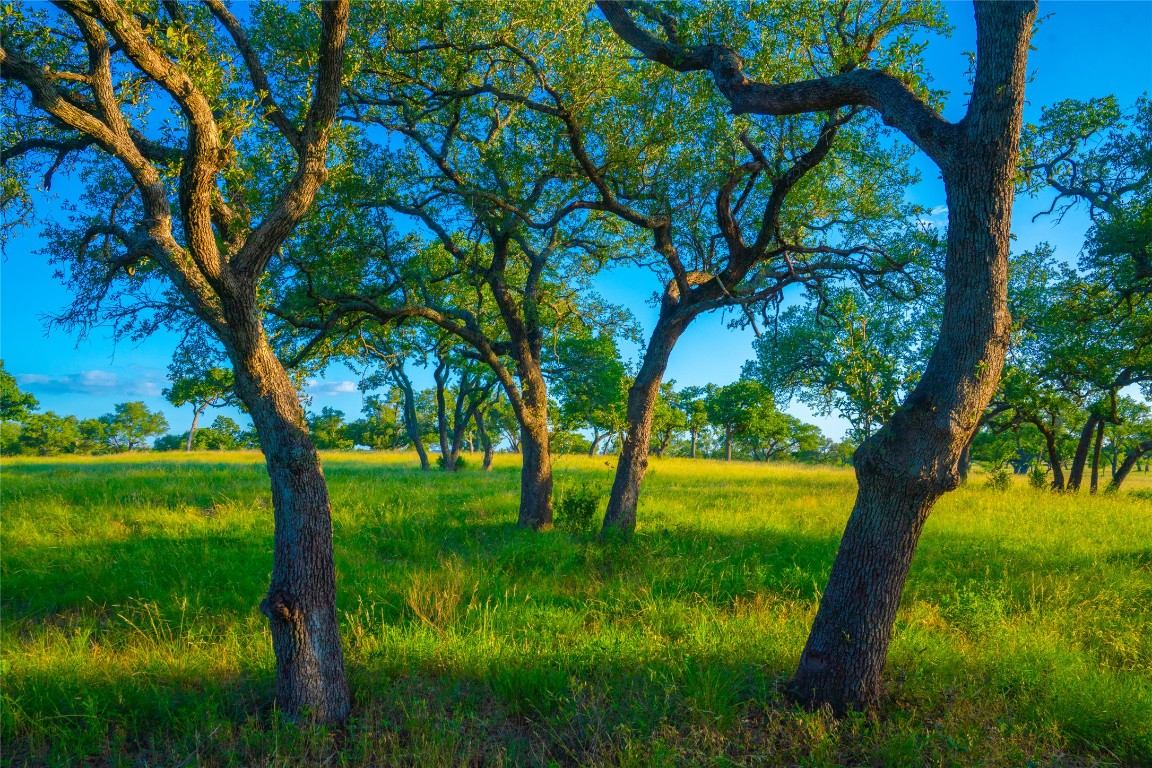 0 Rolling Oaks Ranch Johnson City, TX 78636 - Photo 9 of 30 a view of an ocean from a yard