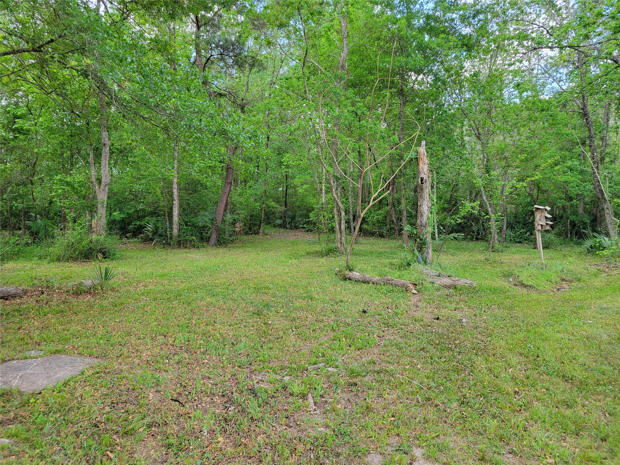 13534 Walker Road Conroe, TX 77302 - Photo 41 of 46