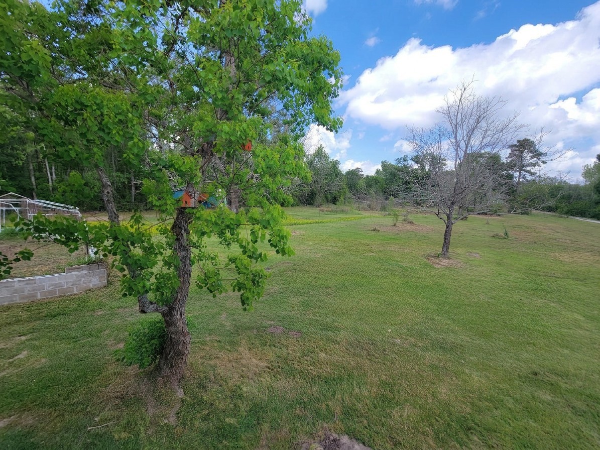 13534 Walker Road Conroe, TX 77302 - Photo 43 of 46