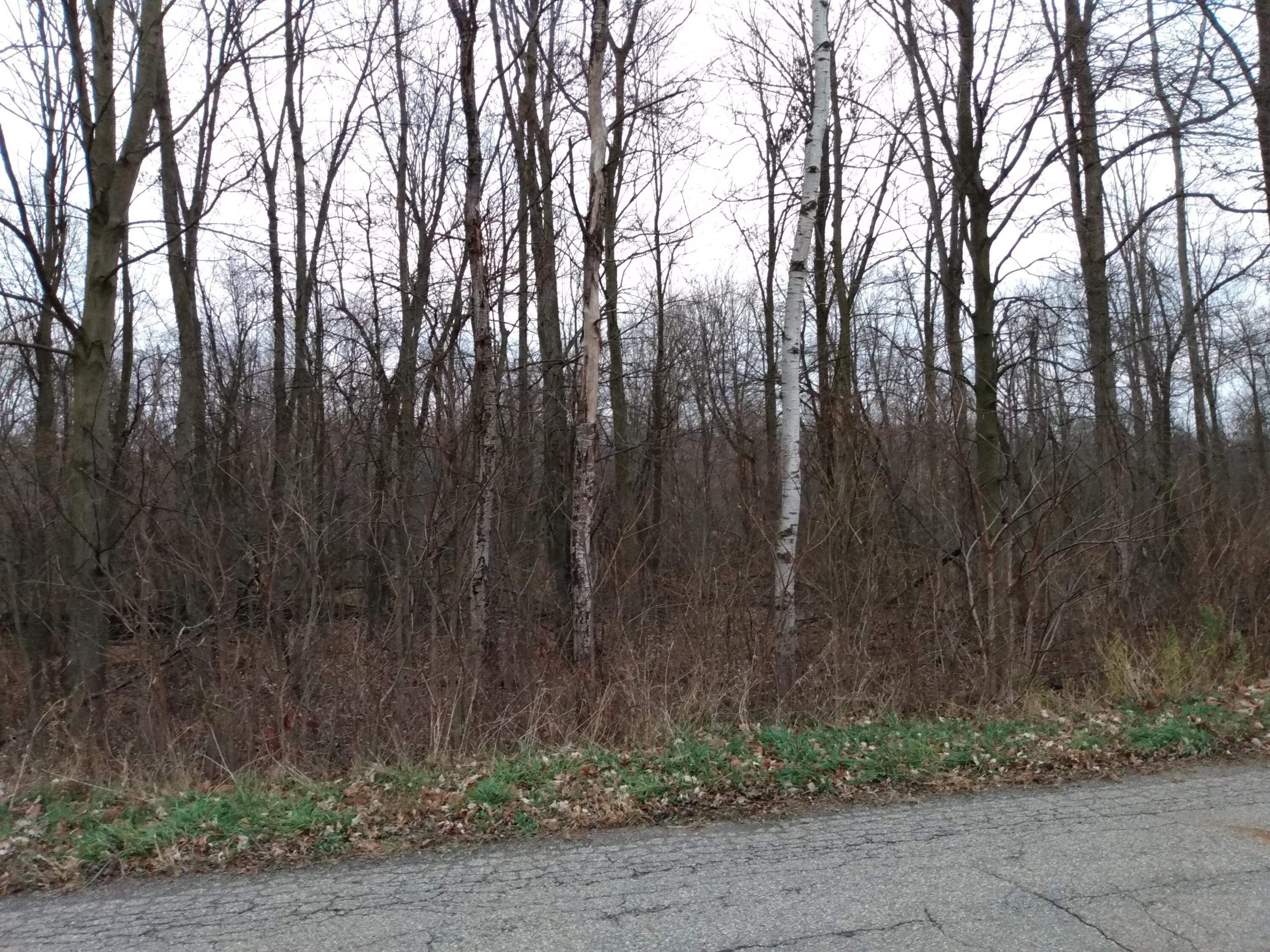 15 15 Mile Road Tekonsha, MI 49092 - Photo 2 of 6 IMG_20241115_165151194