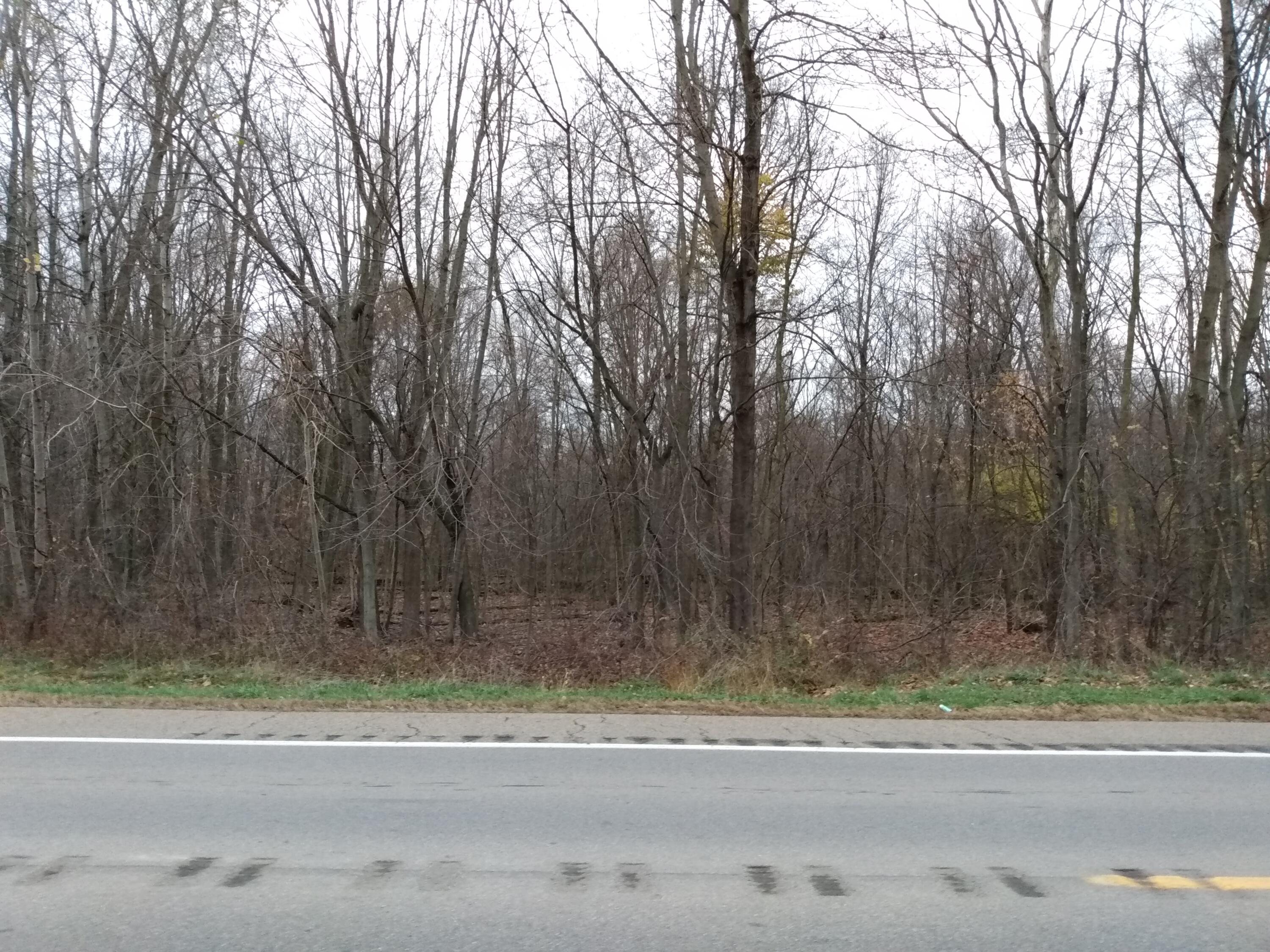 15 15 Mile Road Tekonsha, MI 49092 - Photo 3 of 6 IMG_20241115_165340850