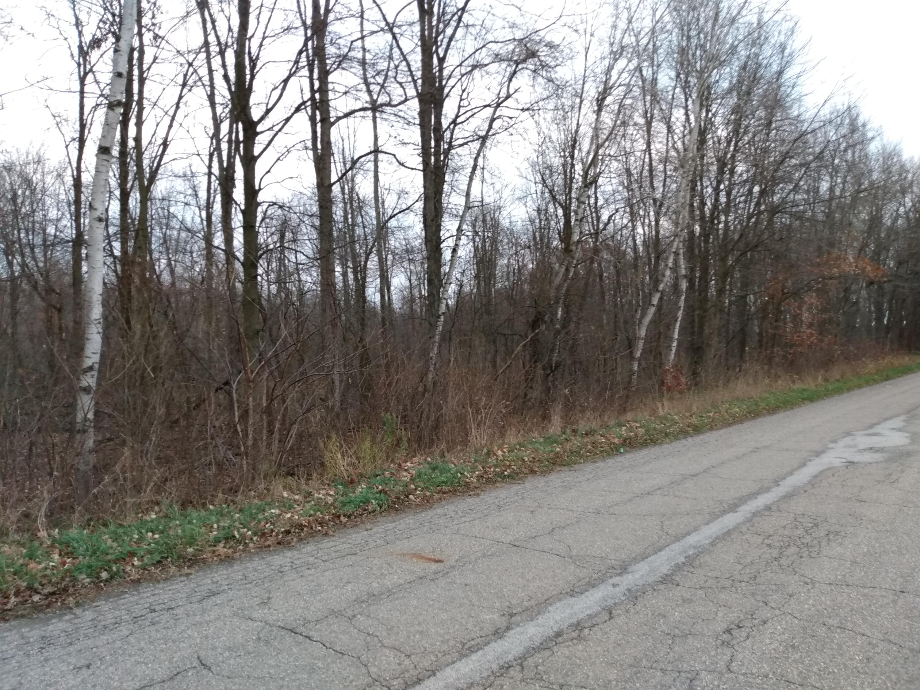15 15 Mile Road Tekonsha, MI 49092 - Photo 5 of 6 IMG_20241115_165216579