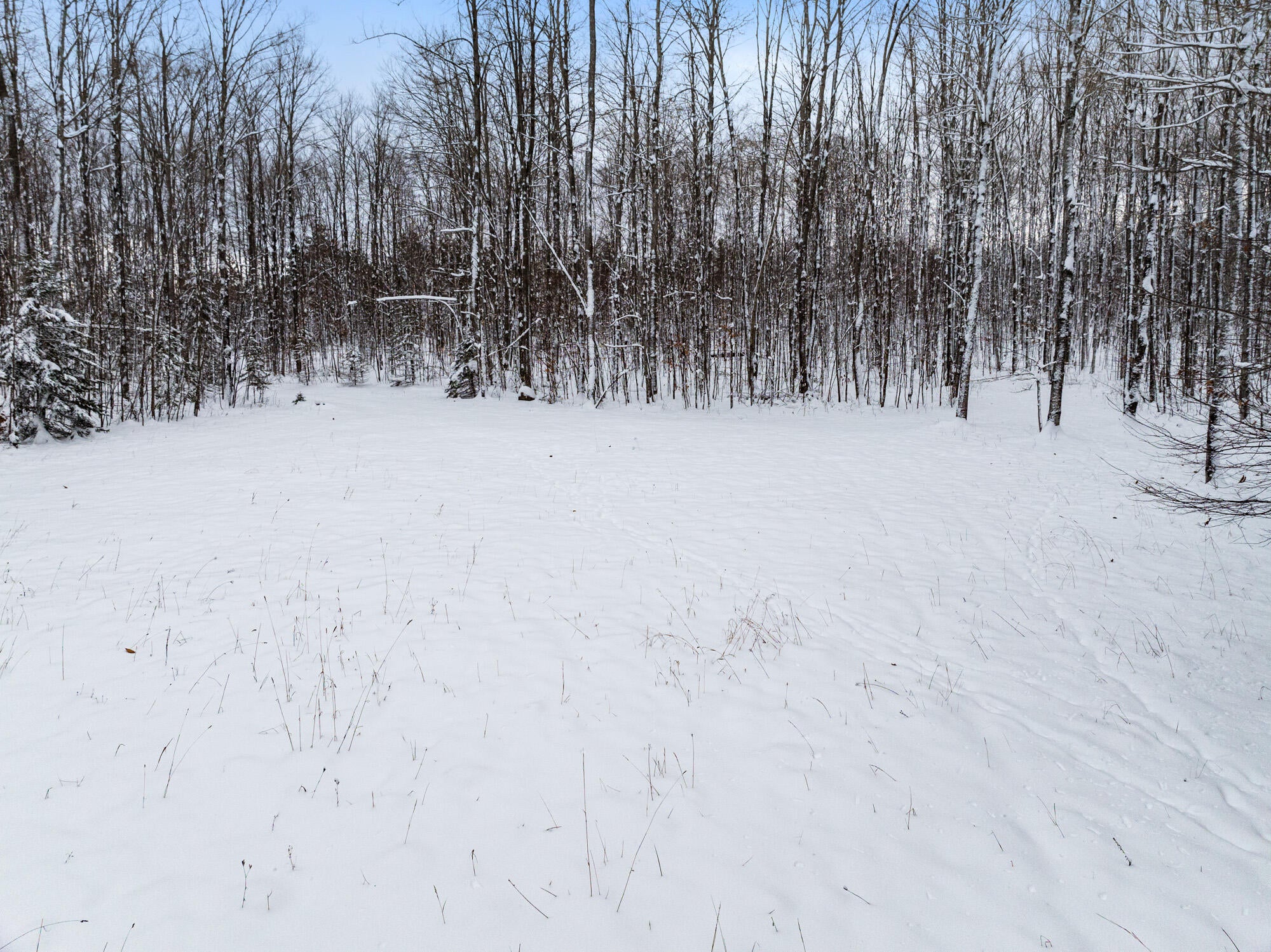 7438 Afton Road Afton, MI 49705 - Photo 6 of 13 DJI_20251201023948_0926_D