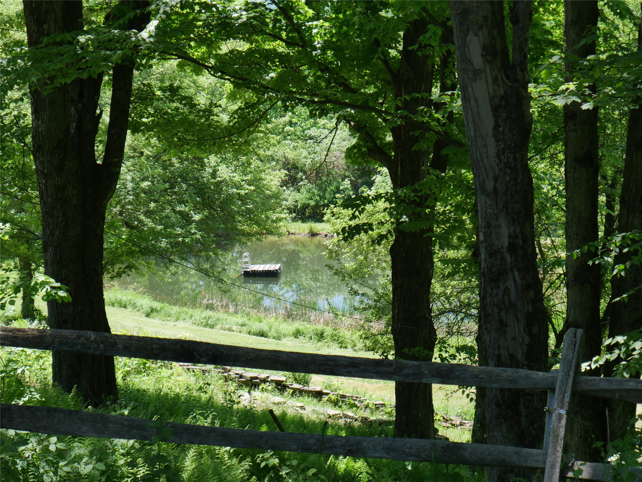 1338 Abe Boice Road Sidney Center, NY 13839 - Photo 13 of 38