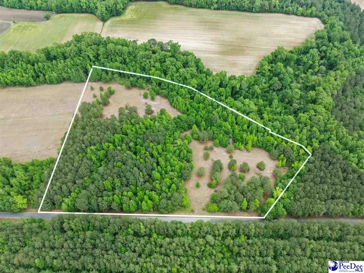 Daniel Chapel Road McColl, SC 29570 - Photo 1 of 42 Gallery Image 1
