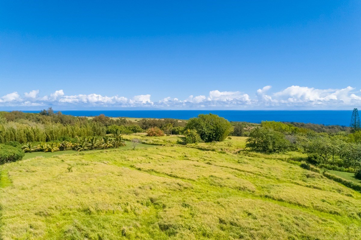 Union Mill Road Kapaau, HI 96755 - Photo 11 of 24 a view of an ocean from a yard