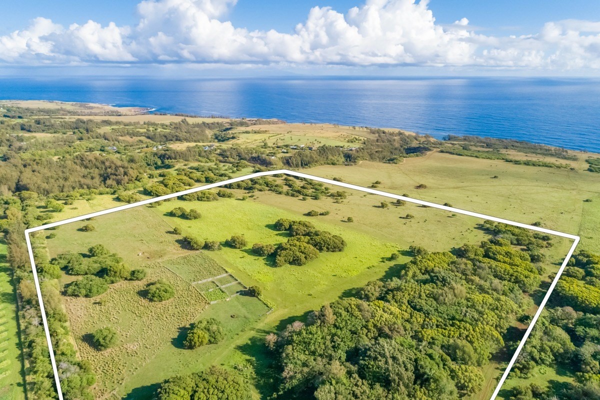 Union Mill Road Kapaau, HI 96755 - Photo 17 of 24 a view of an ocean