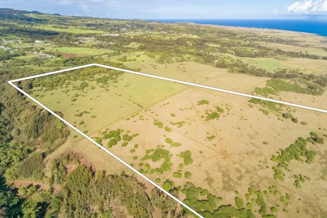 a view of a swimming pool with a yard