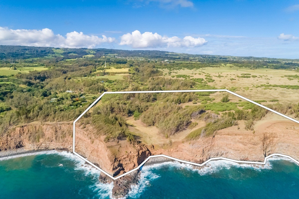 Union Mill Road Kapaau, HI 96755 - Photo 21 of 24 a view of a swimming pool with a yard