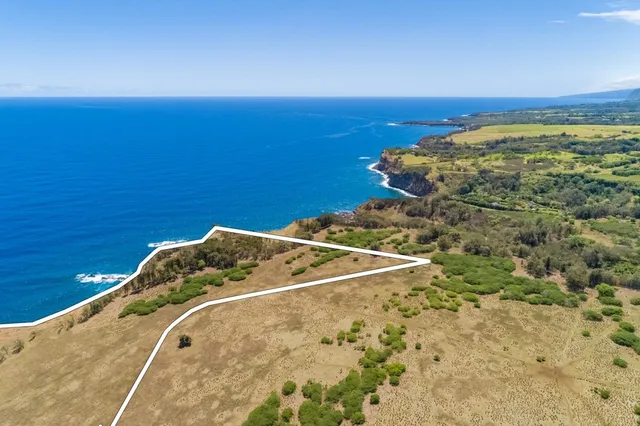 a view of an outdoor space and a yard