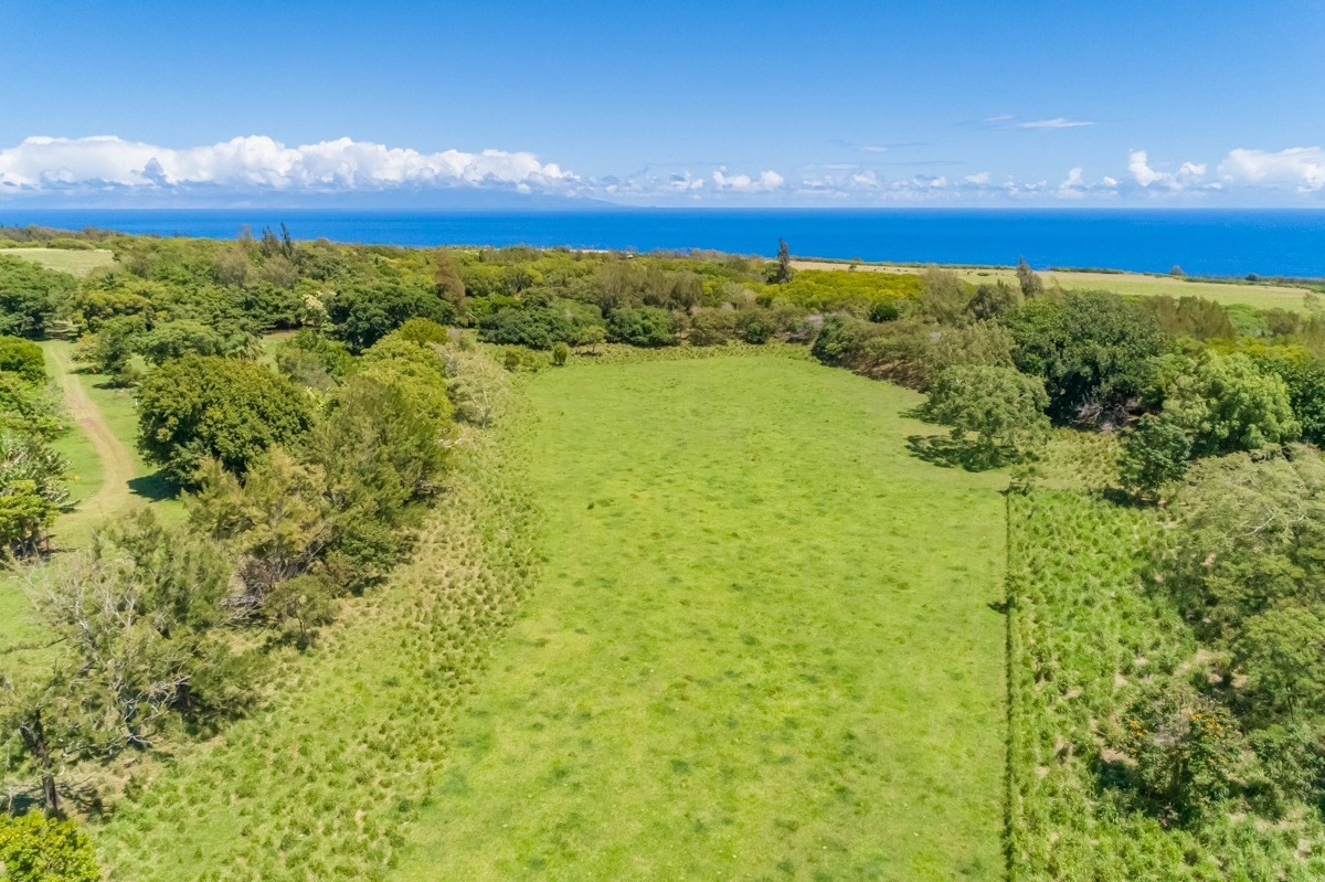 Union Mill Road Kapaau, HI 96755 - Photo 4 of 24 a view of an outdoor space and a yard