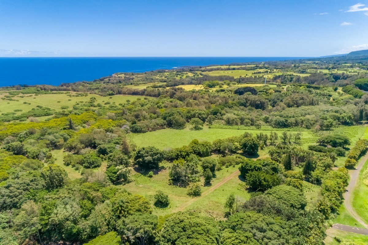 Union Mill Road Kapaau, HI 96755 - Photo 9 of 24 a view of an ocean