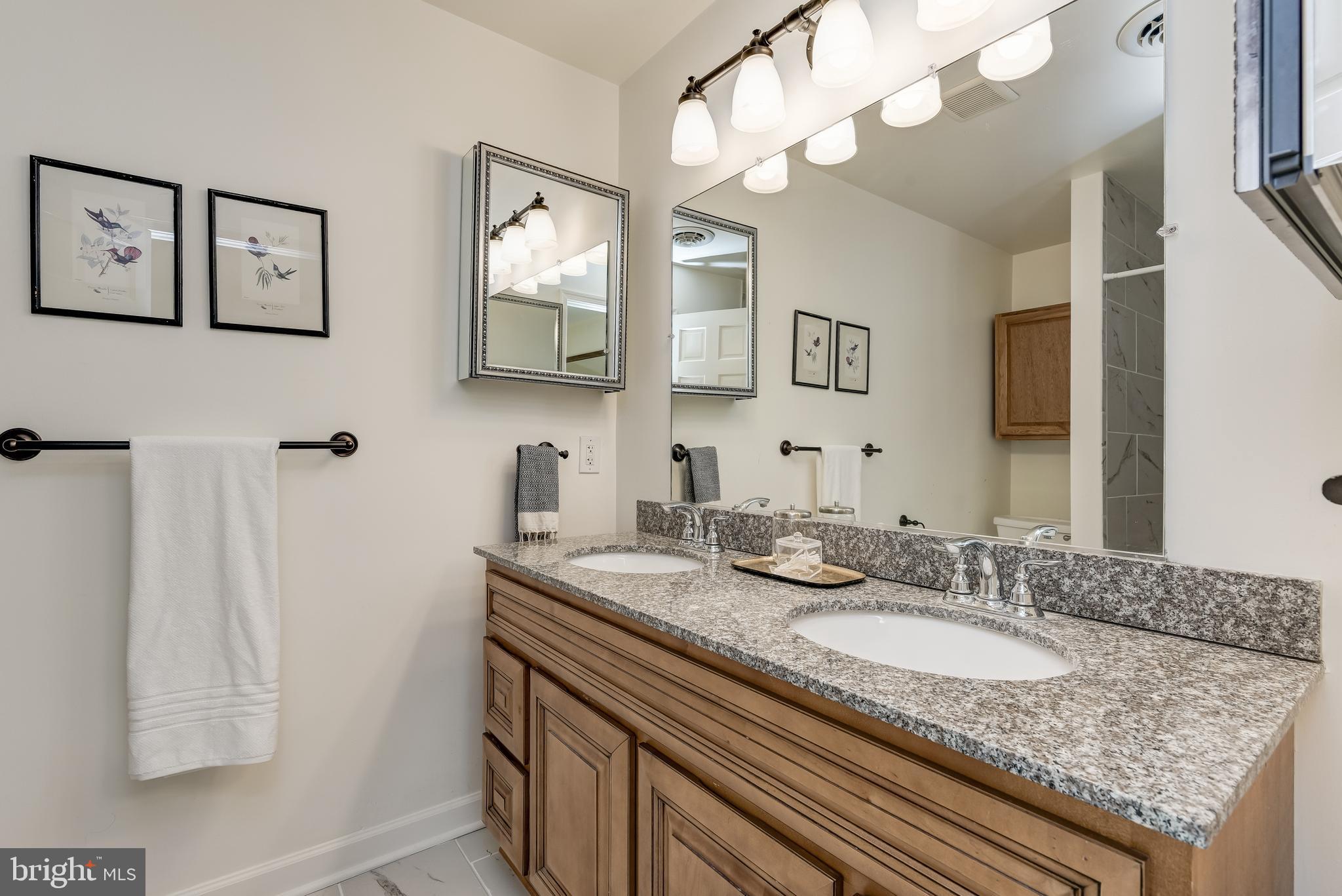 709 Black Forest Road Annapolis, MD 21409 - Photo 24 of 49 Master bath with multiple updates