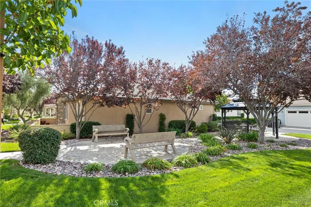 a view of a backyard with tree s