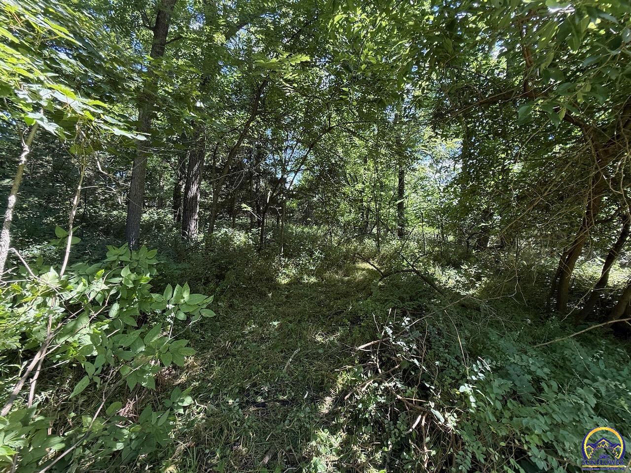 0 214th Road Holton, KS 66436 - Photo 45 of 75
