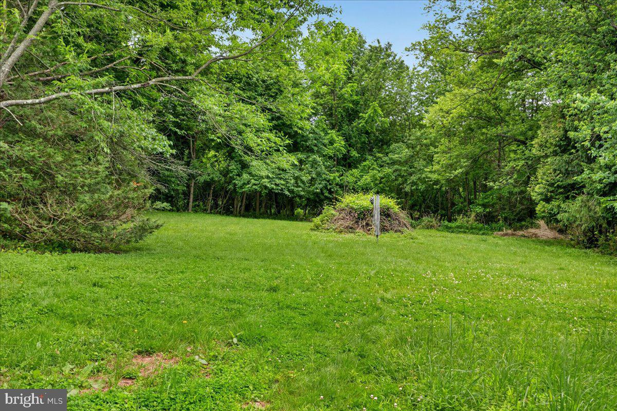 443 Baptist Church Road Spring City, PA 19475 - Photo 31 of 37 Lush & private wooded area