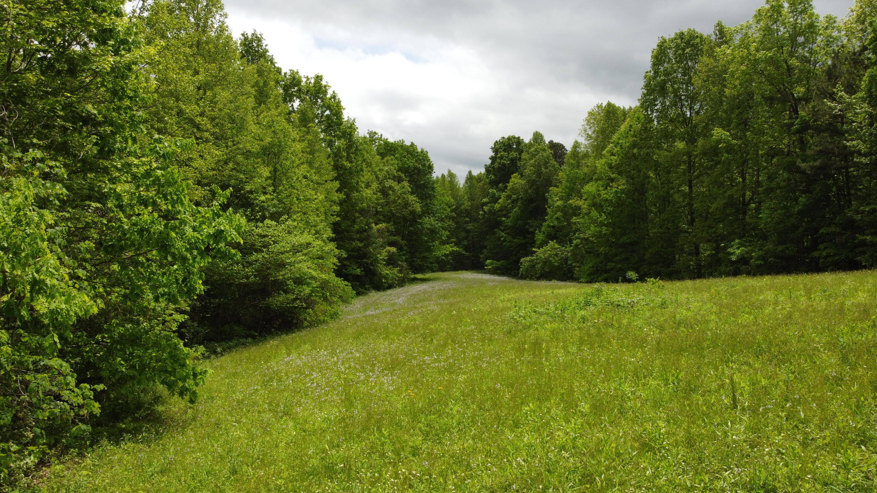 0 Van Hollow Road McKee, KY 40447 - Photo 1 of 11 DJI_0545
