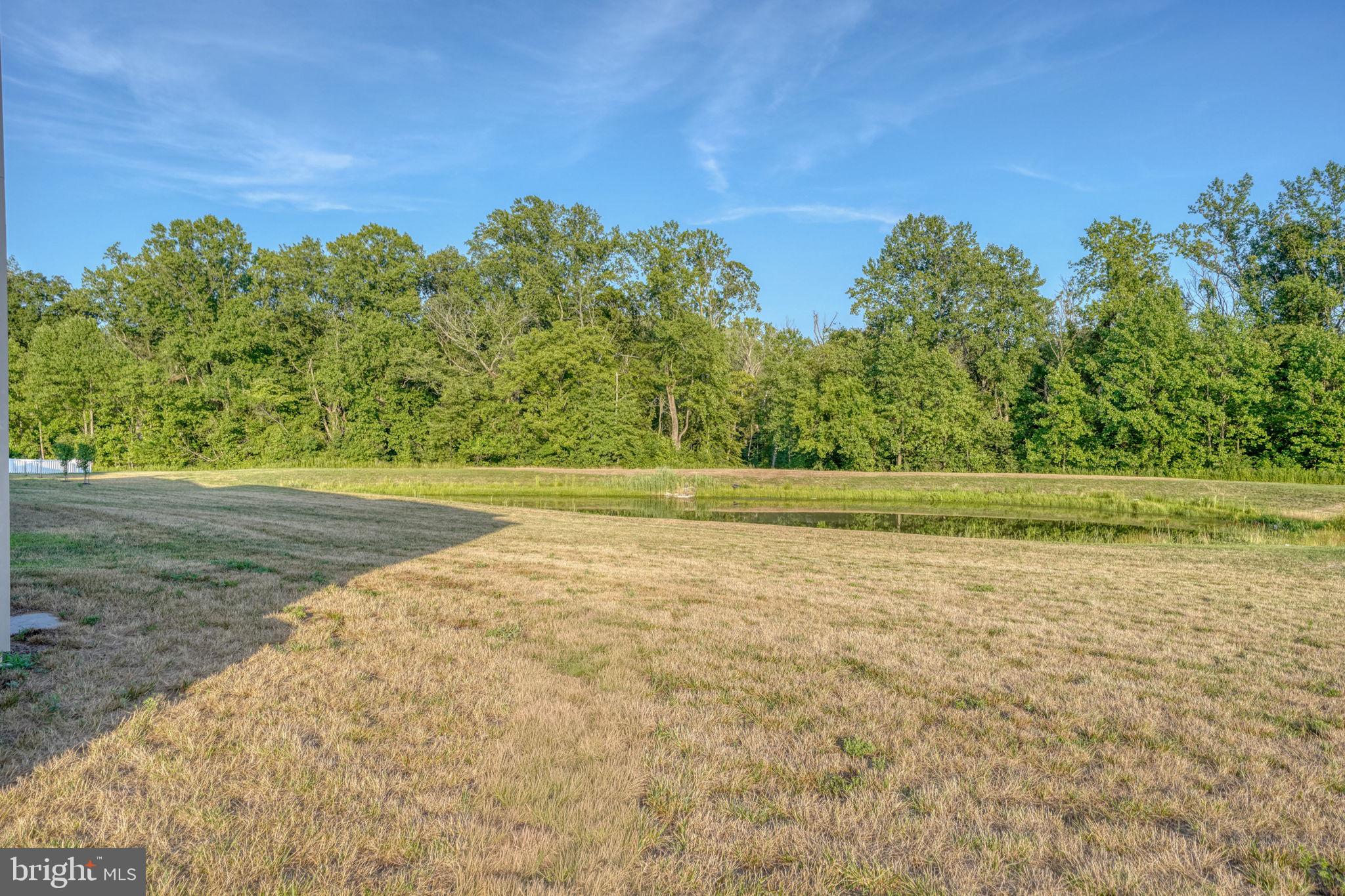 135 Gypsum Road Dover, DE 19904 - Photo 11 of 38 Rear Yard & Pond
