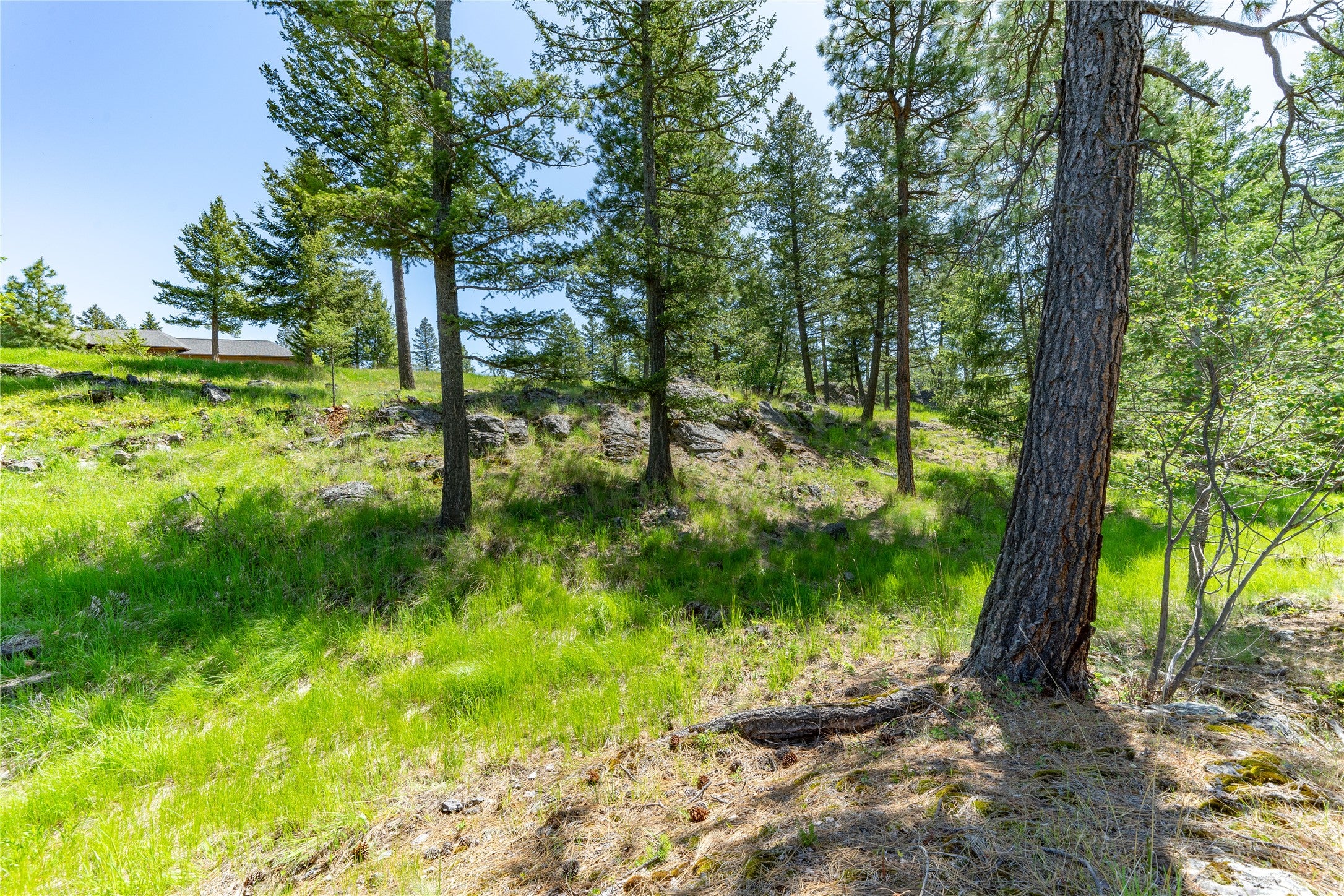 1193 Whispering Rock Road Bigfork, MT 59911 - Photo 42 of 48 Gallery Image 42