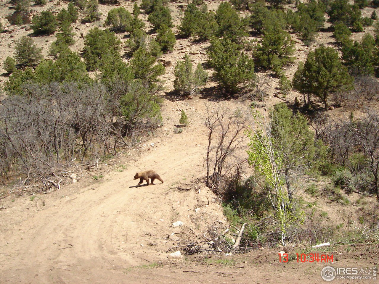 Sweet Water Road Gypsum, CO 81637 - Photo 11 of 18 Gallery Image 11