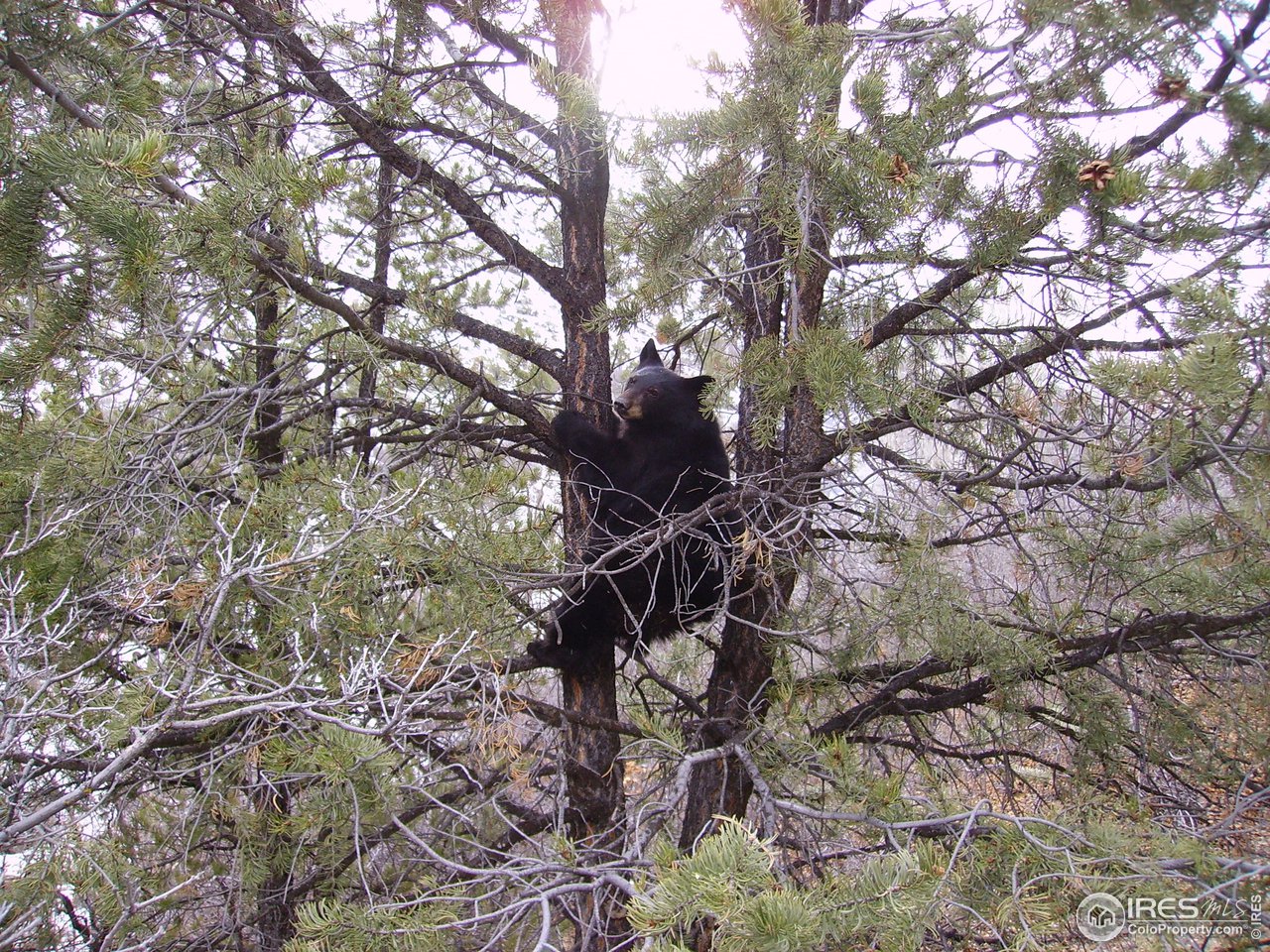 Sweet Water Road Gypsum, CO 81637 - Photo 18 of 18 Gallery Image 18