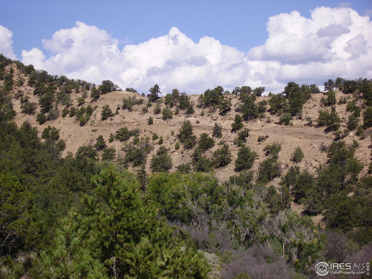Sweet Water Road Gypsum, CO 81637 - Photo 5 of 18 Gallery Image 5