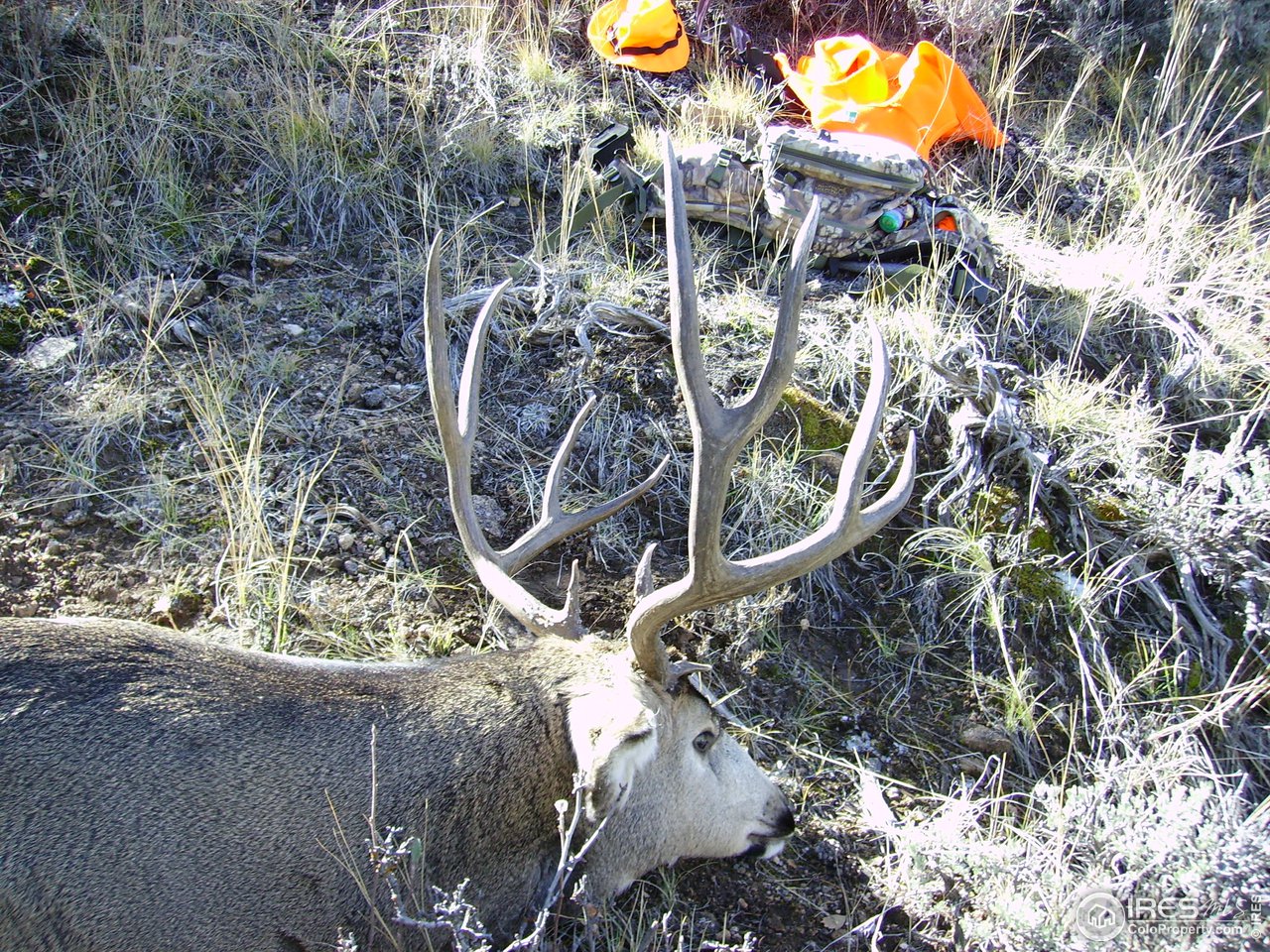 Sweet Water Road Gypsum, CO 81637 - Photo 10 of 18 Gallery Image 10