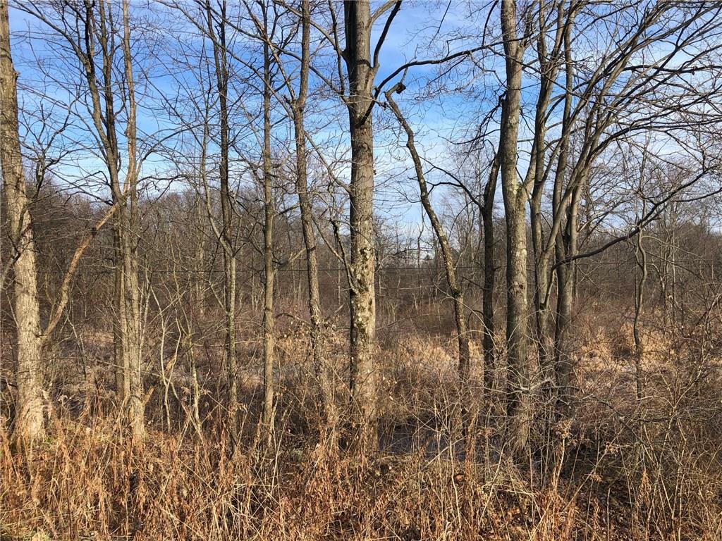 0 Amsterdam Road Grove City, PA 16127 - Photo 3 of 5 Gallery Image 3