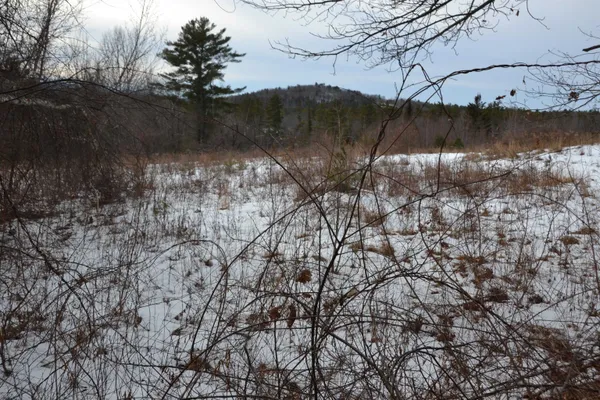 $225,000 | 38 Sodom Road, Tuftonboro, NH 03816