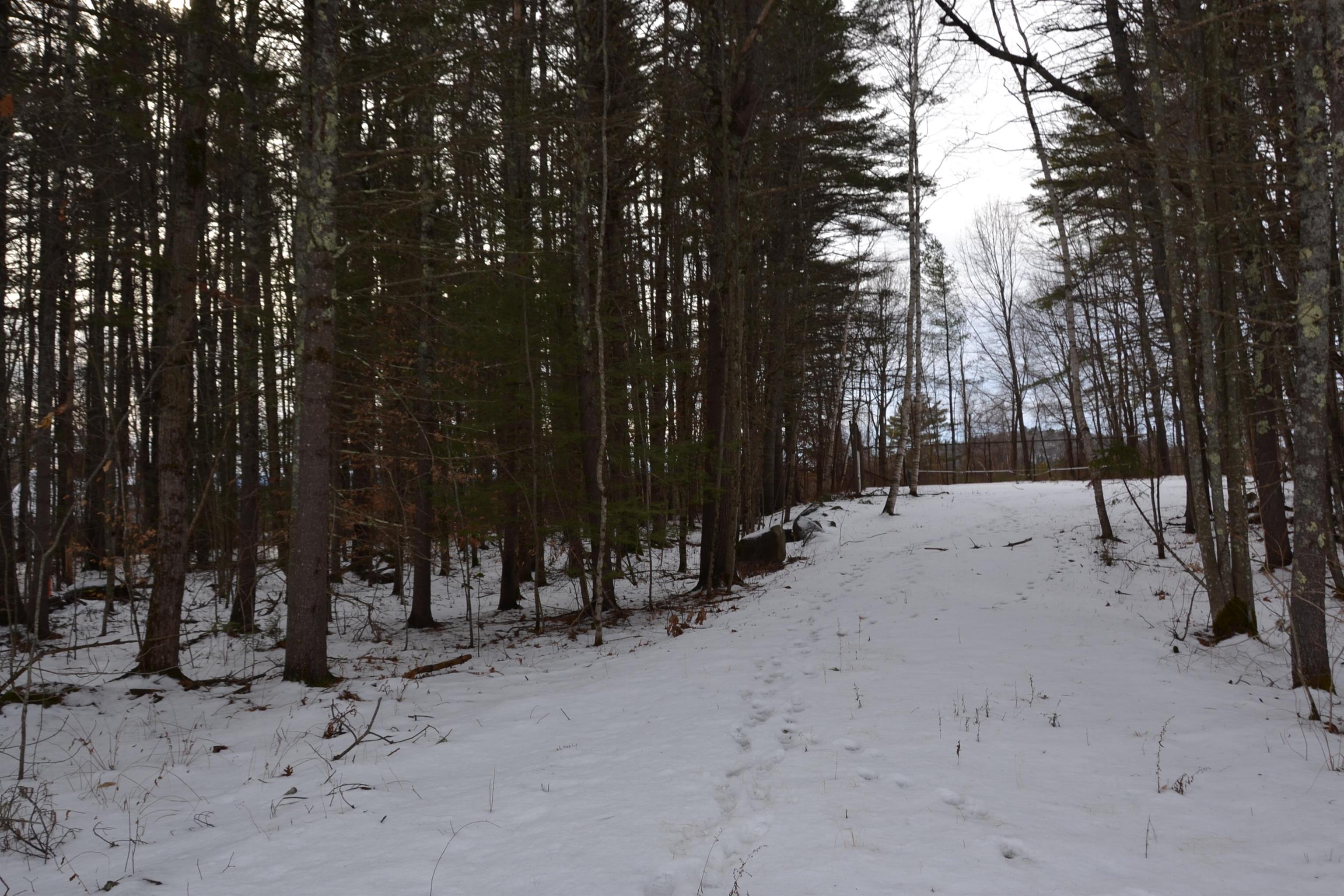 38 Sodom Road Tuftonboro, NH 03816 - Photo 5 of 6