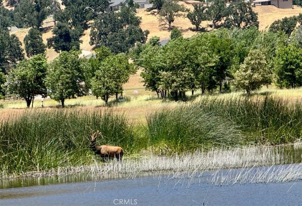 0 Butterfield Way Tehachapi, CA 93561 - Photo 15 of 20 a view of a lake from a yard