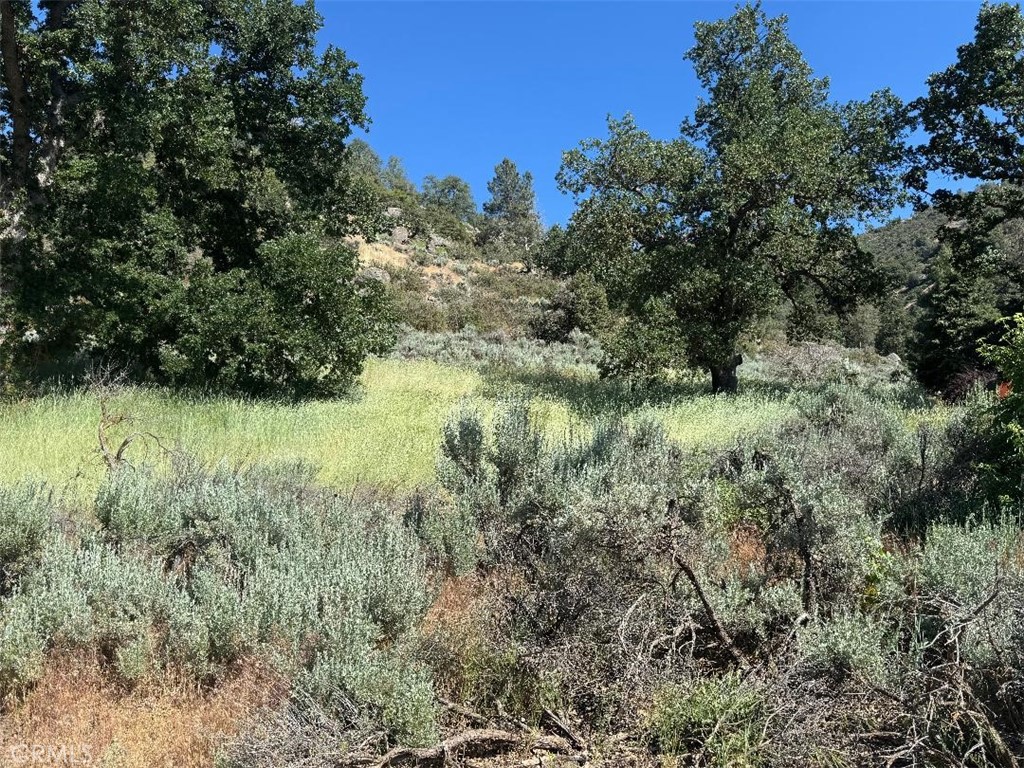 0 Butterfield Way Tehachapi, CA 93561 - Photo 2 of 20 a view of a garden