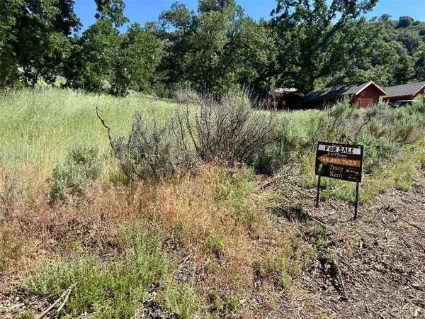a view of house with a yard