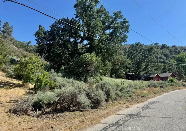 a view of a dry yard with trees