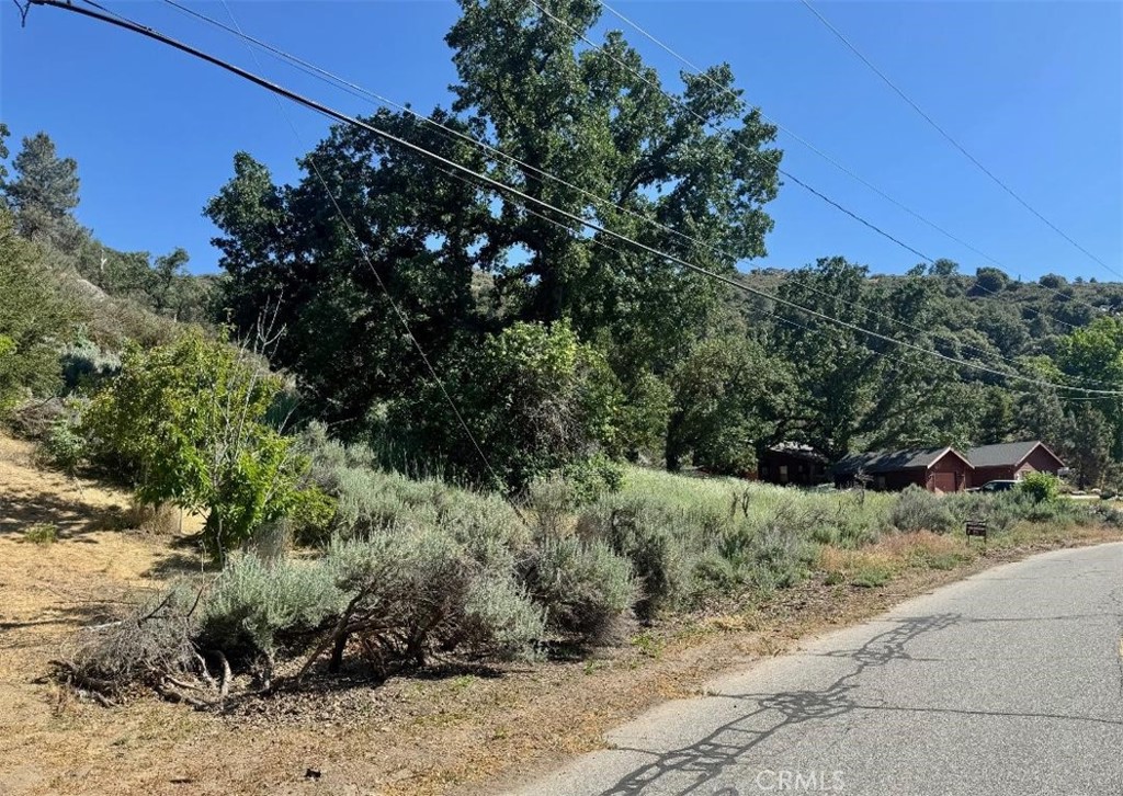 0 Butterfield Way Tehachapi, CA 93561 - Photo 4 of 20 a view of a dry yard with trees